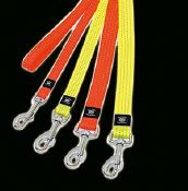 Laisse Réfléchissante pour Chien