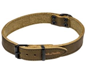 Collier Cuir Gras Label Vert pour Chiens