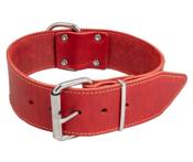 Collier Cuir Large pour Chien