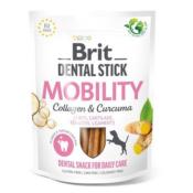 Dental Stick Mobility 250g - Brit 