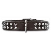 Collier Cuir pour Chien Doxtasy Stunning Studs