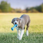 Kong Puppy Goodie Os  - Jouet pour Chiots