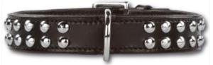 Collier Cuir pour Chien Doxtasy Stunning Studs