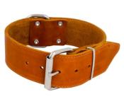 Collier Cuir Large pour Chien