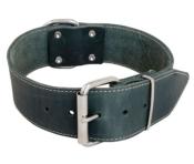 Collier Cuir Large pour Chien