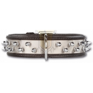 Collier Cuir Clouté pour Chien Doxtasy Steel