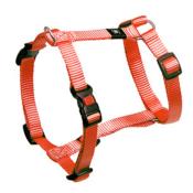 Harnais en Nylon pour Chien
